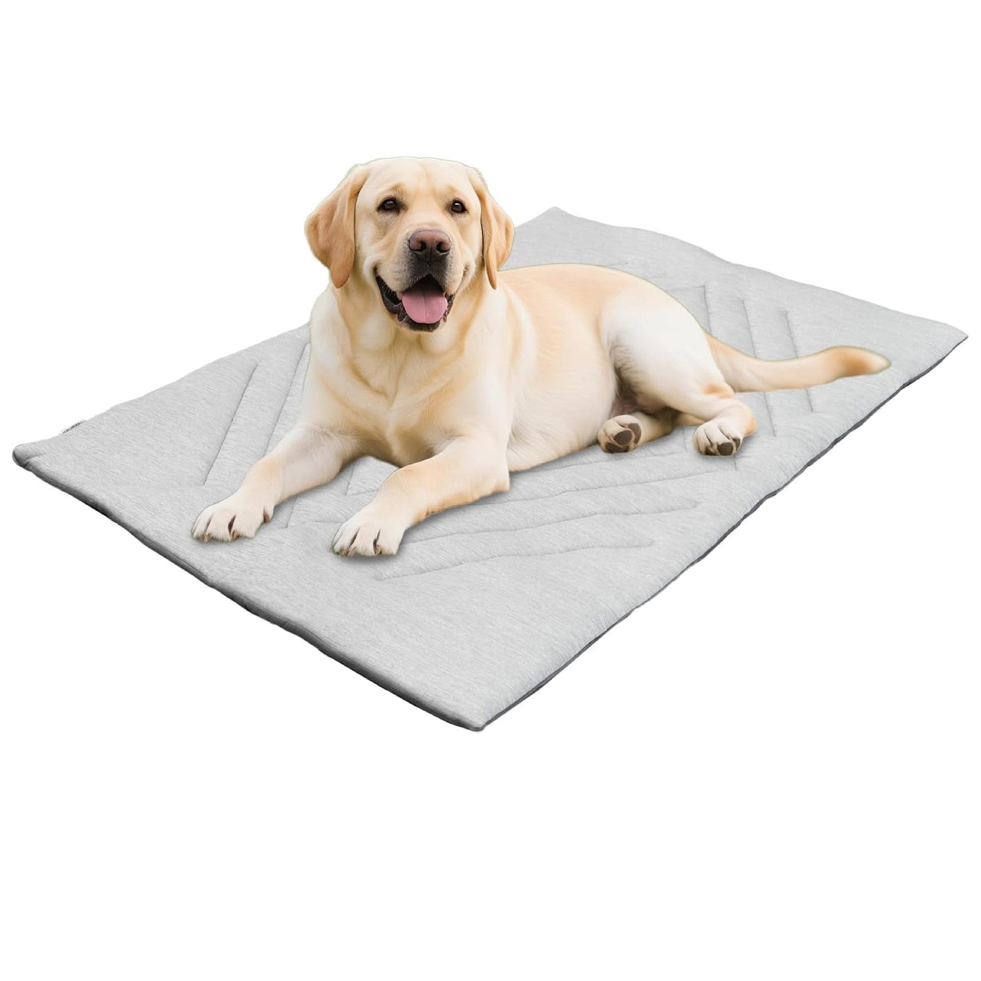Dog Comfort & Beds