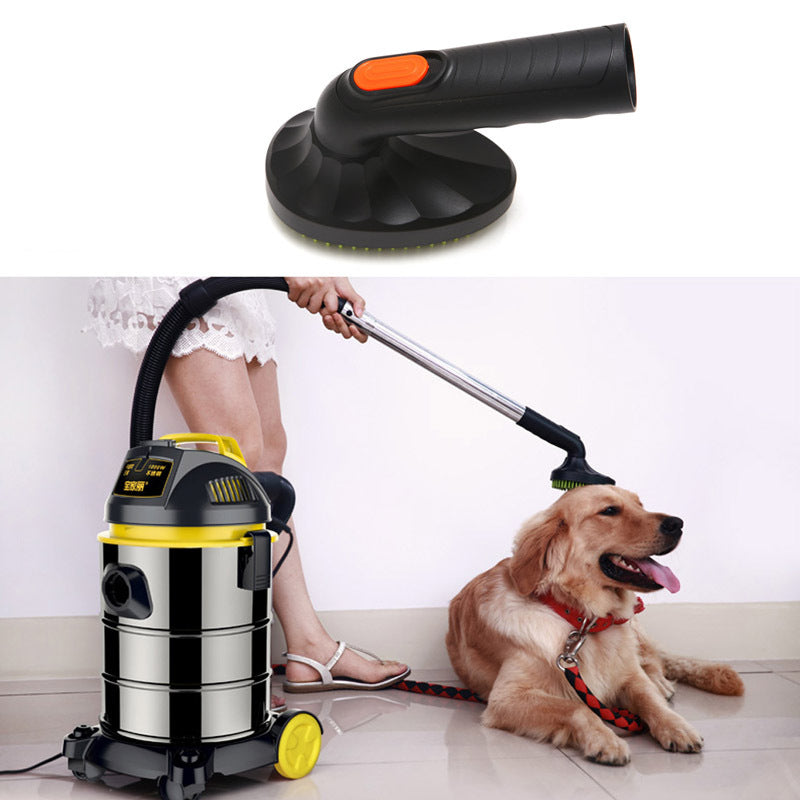 Dog Grooming & Care