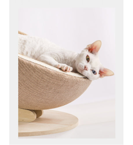 Cat Scratch Pad