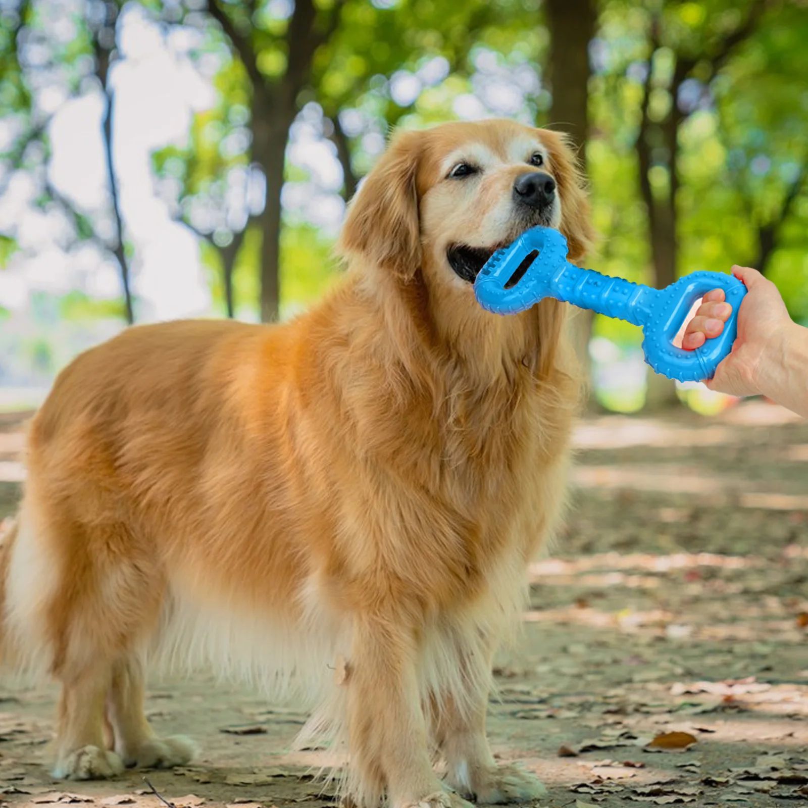 Dog Teething Toy