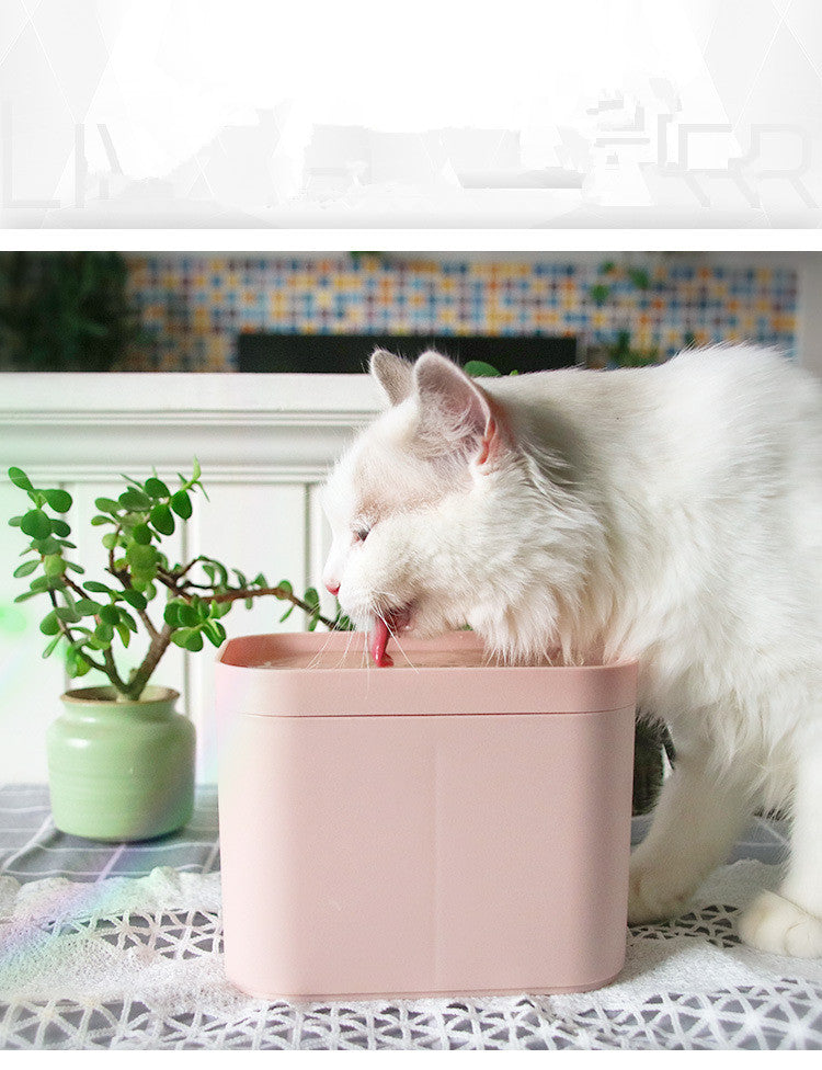 Cat Smart Drinking Water Fountain