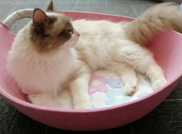 Pet Perch Cat Scratcher Bed House (29)  ⭐⭐⭐⭐⭐