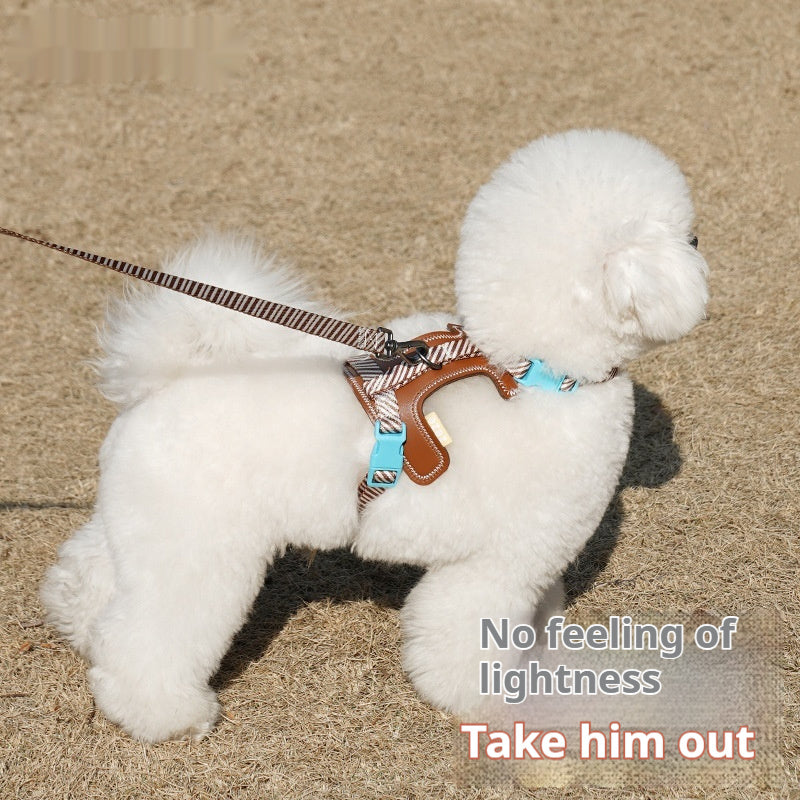 Dog Harness Anti Loose Adjustable Dog Leash  (36)  ⭐⭐⭐⭐⭐