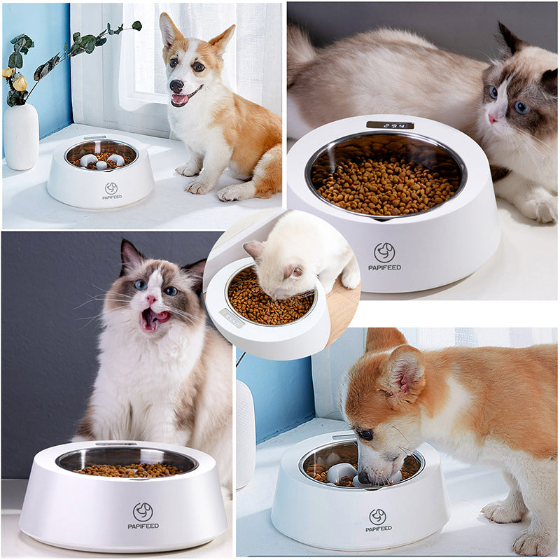 Pet Dog Bowl Slow Feeder Dog Food Bowl Smart Weighing Dog Slow Feeder Cat  Pet Feeder  (28)  ⭐⭐⭐⭐⭐