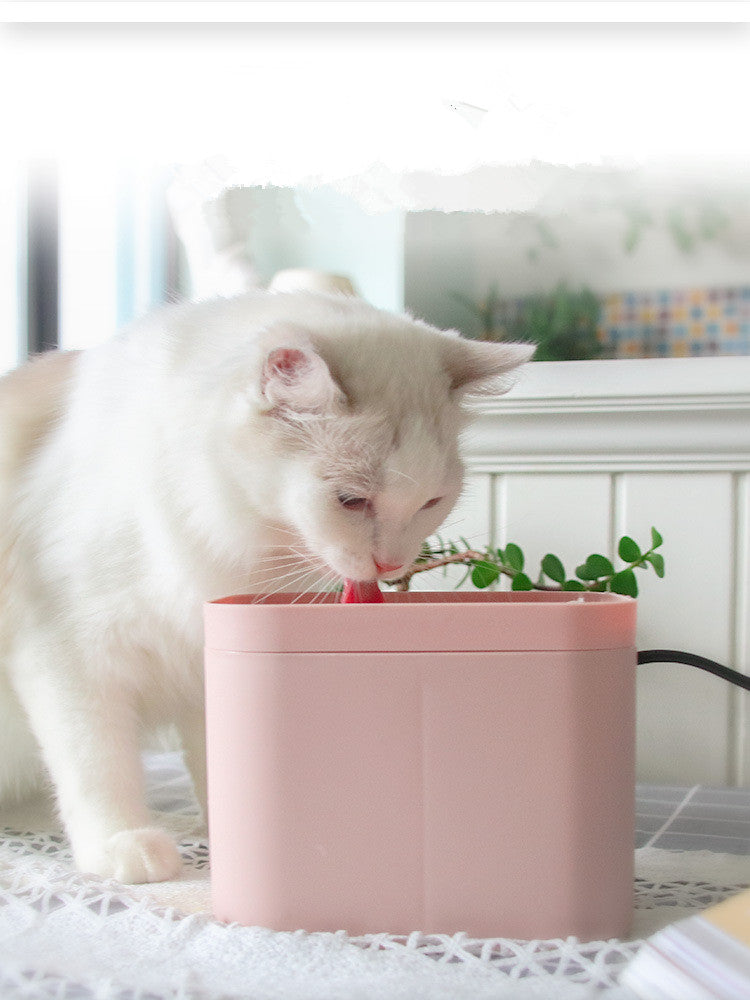 Cat Smart Drinking Water Fountain