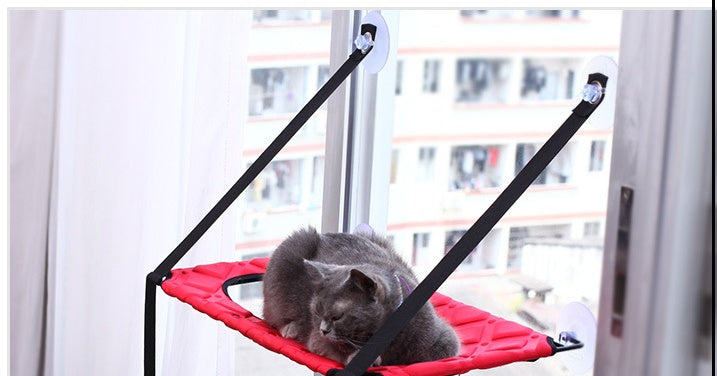 Cat Hammock Window Resting Seat Perch Cat Bed for Indoor Cats Sleeping  (56) ⭐⭐⭐⭐⭐