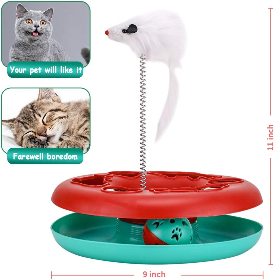 Small Animal Adventure