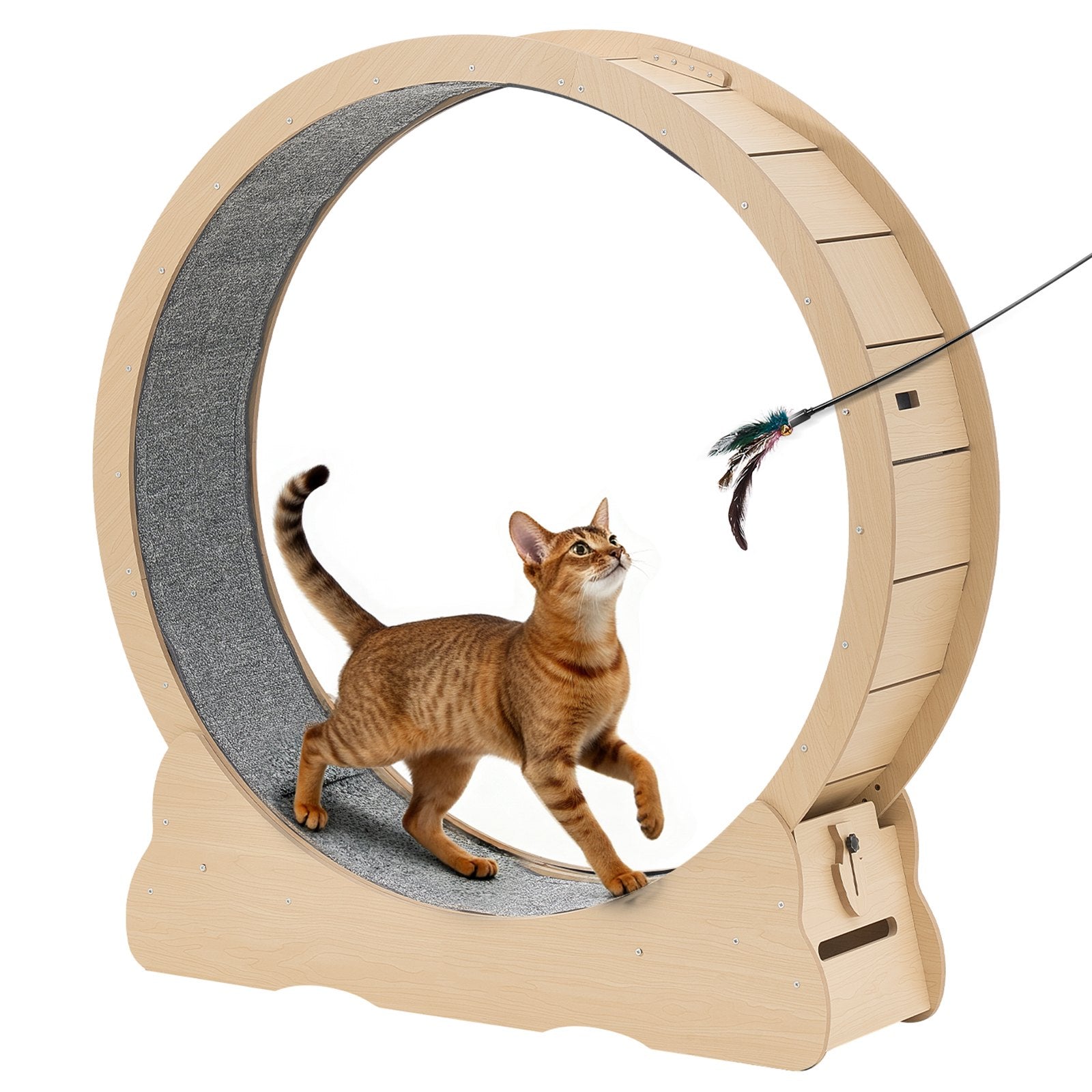 Cat Exercise Wheel, 48 In Wooden Cat Running Wheel For Indoor Cats Up To 28 Lbs, Cats Treadmill With Carpeted Runway & Locking Mechanism, Quiet Roller Kitten Sport Toys For Pets Fitness & Health  (34)  ⭐⭐⭐⭐⭐