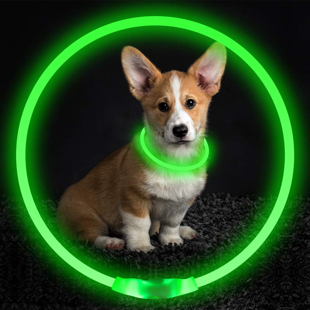 Glowing Collar necklace