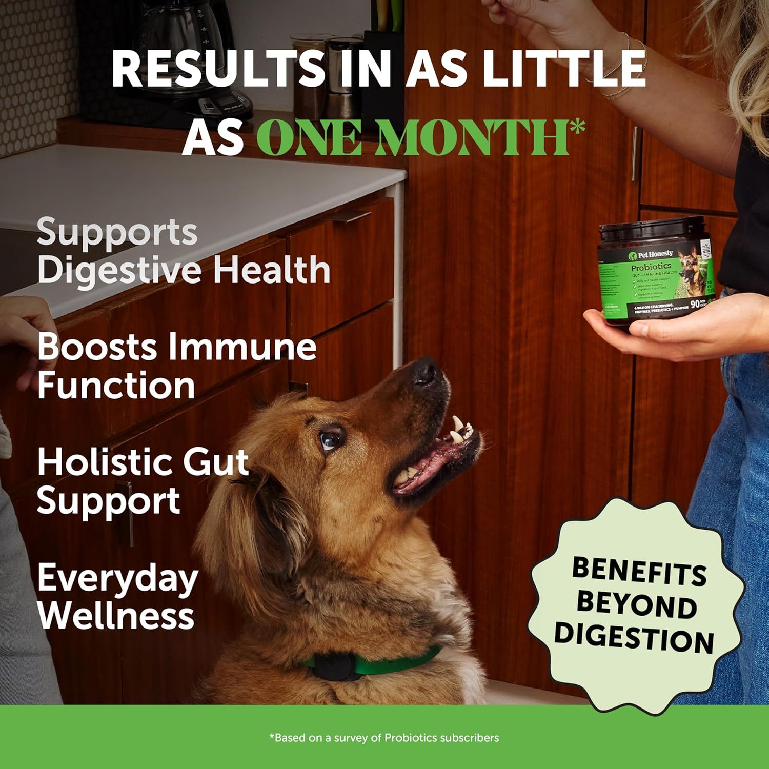 Youmile Probiotics Dogs Soft chews