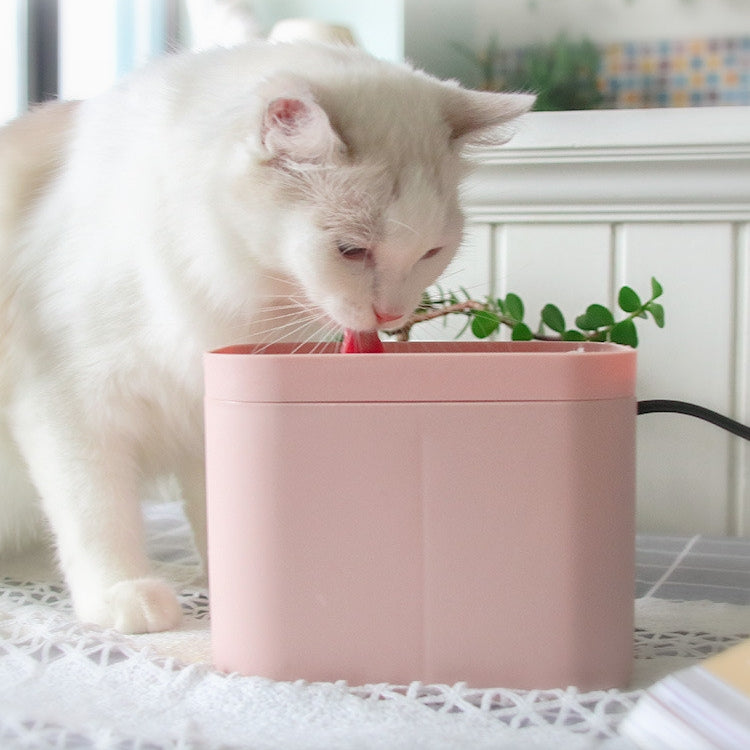 Cat Smart Drinking Water Fountain