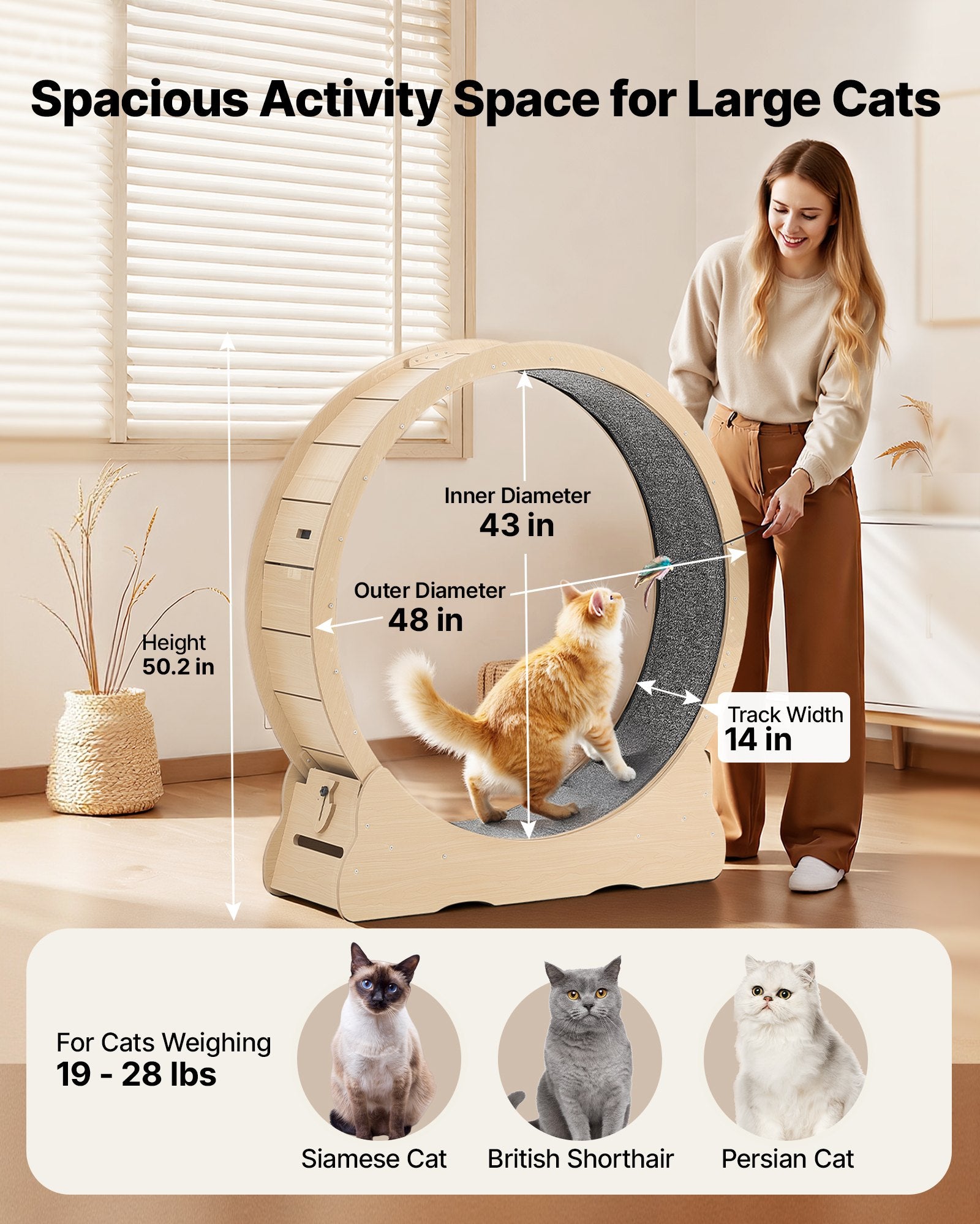 Cat Exercise Wheel, 48 In Wooden Cat Running Wheel For Indoor Cats Up To 28 Lbs, Cats Treadmill With Carpeted Runway & Locking Mechanism, Quiet Roller Kitten Sport Toys For Pets Fitness & Health  (34)  ⭐⭐⭐⭐⭐